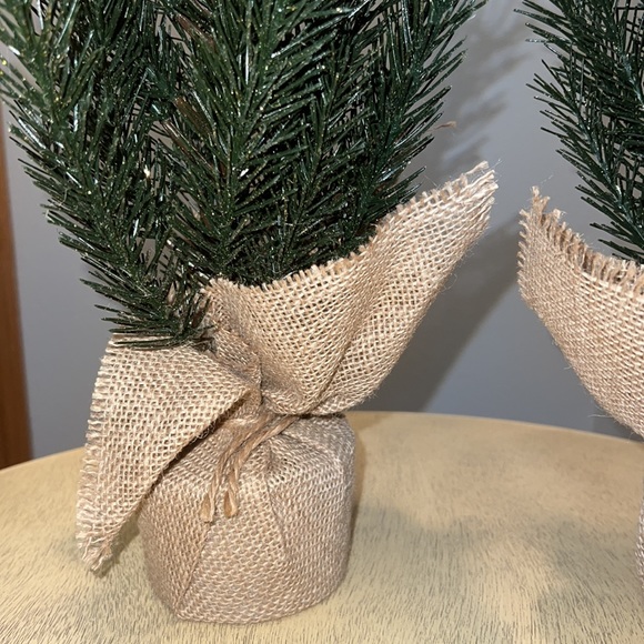 Two Evergreen Trees - Picture 2 of 2